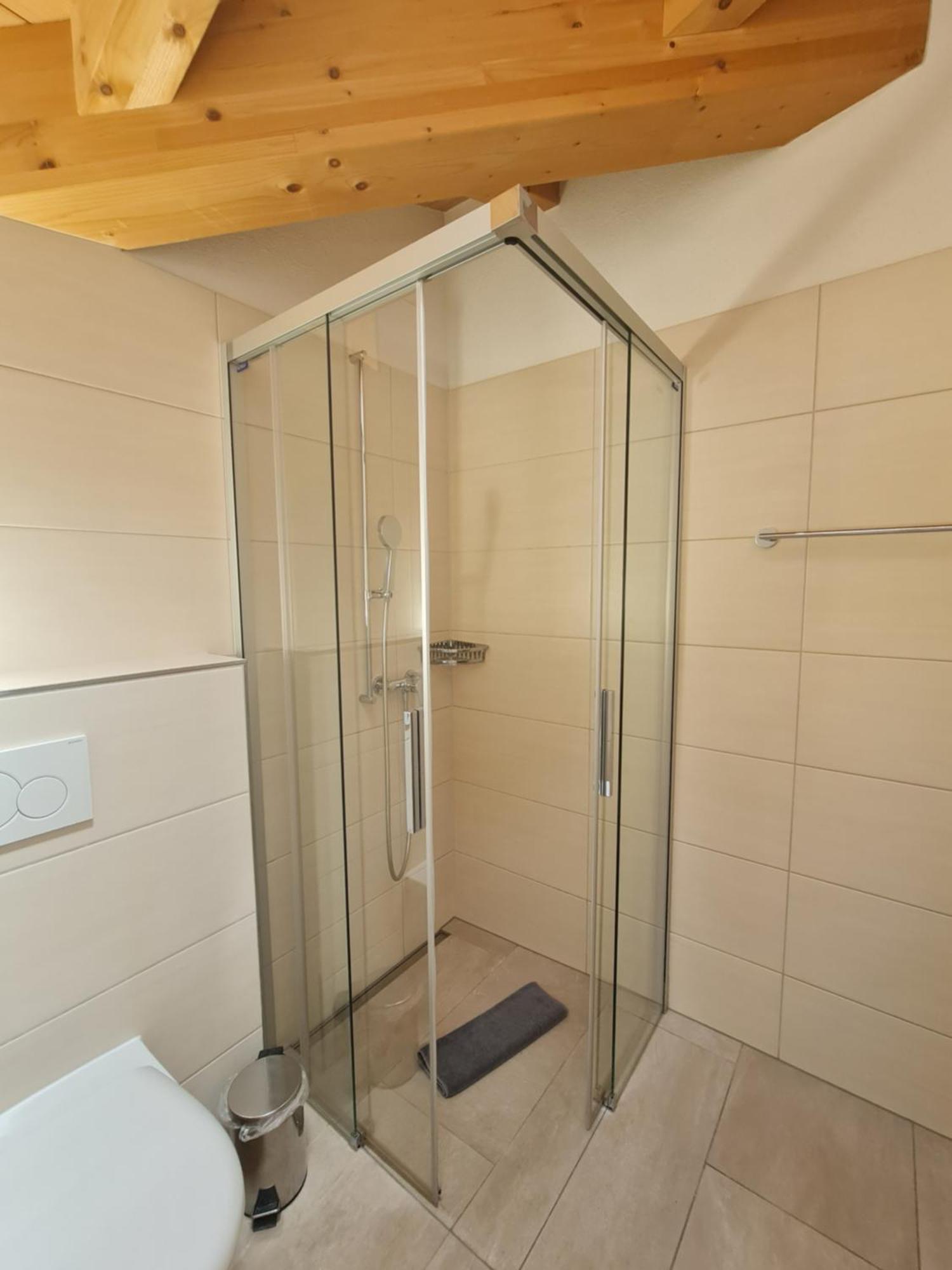 Jungfrau Penthouse - Aare Jungfrau Ag Apartment Wilderswil Exterior foto